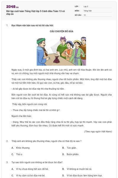Bài tập cuối tuần Tiếng Việt lớp 5 Cánh diều Tuần 13 có đáp án