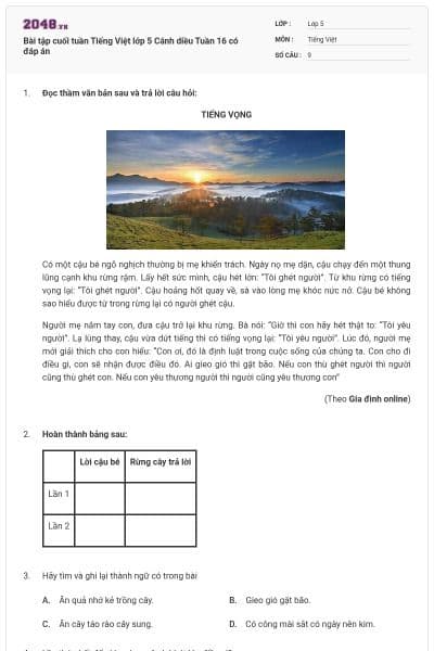 Bài tập cuối tuần Tiếng Việt lớp 5 Cánh diều Tuần 16 có đáp án