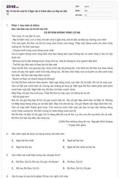 Bộ 10 đề thi cuối kì 2 Ngữ văn 6 Cánh diều có đáp án (Đề 1)