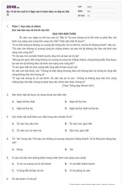 Bộ 10 đề thi cuối kì 2 Ngữ văn 6 Cánh diều có đáp án (Đề 3)