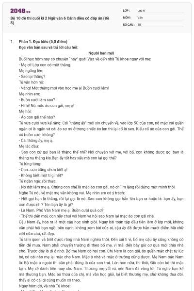 Bộ 10 đề thi cuối kì 2 Ngữ văn 6 Cánh diều có đáp án (Đề 8)