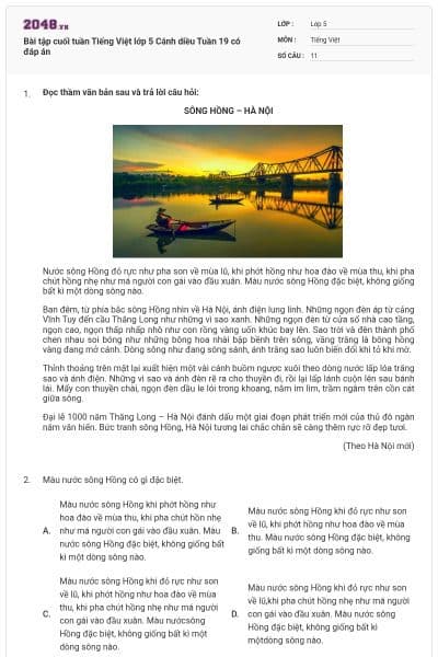 Bài tập cuối tuần Tiếng Việt lớp 5 Cánh diều Tuần 19 có đáp án