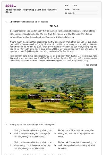 Bài tập cuối tuần Tiếng Việt lớp 5 Cánh diều Tuần 20 có đáp án