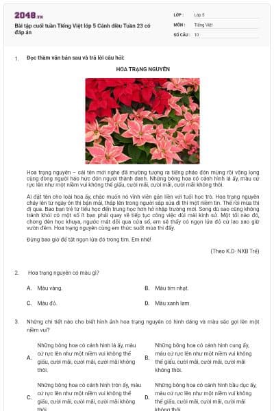 Bài tập cuối tuần Tiếng Việt lớp 5 Cánh diều Tuần 23 có đáp án