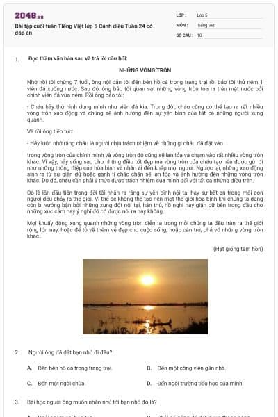 Bài tập cuối tuần Tiếng Việt lớp 5 Cánh diều Tuần 24 có đáp án