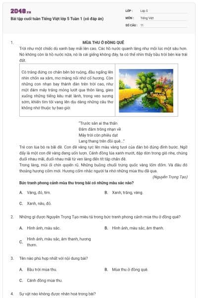 Bài tập cuối tuần Tiếng Việt lớp 5 Tuần 1 (có đáp án)