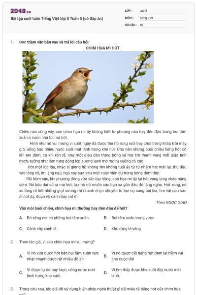 Bài tập cuối tuần Tiếng Việt lớp 5 Tuần 5 (có đáp án)