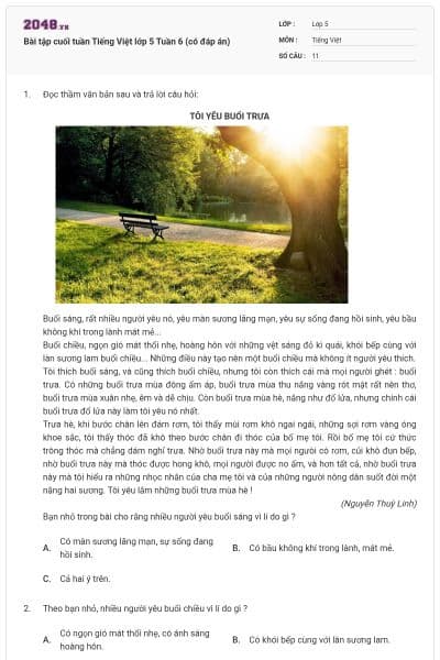 Bài tập cuối tuần Tiếng Việt lớp 5 Tuần 6 (có đáp án)