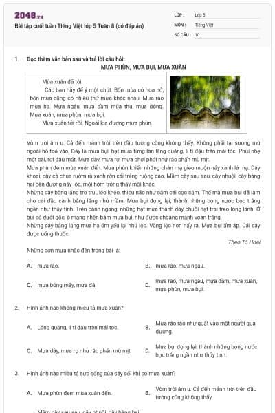 Bài tập cuối tuần Tiếng Việt lớp 5 Tuần 8 (có đáp án)