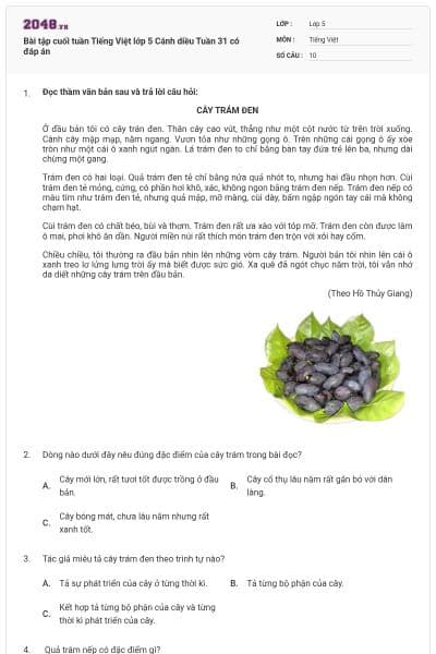 Bài tập cuối tuần Tiếng Việt lớp 5 Cánh diều Tuần 31 có đáp án