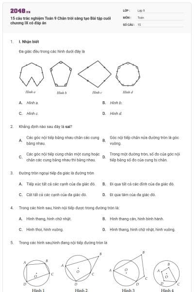 15 câu trắc nghiệm Toán 9 Chân trời sáng tạo Bài tập cuối chương IX có đáp án