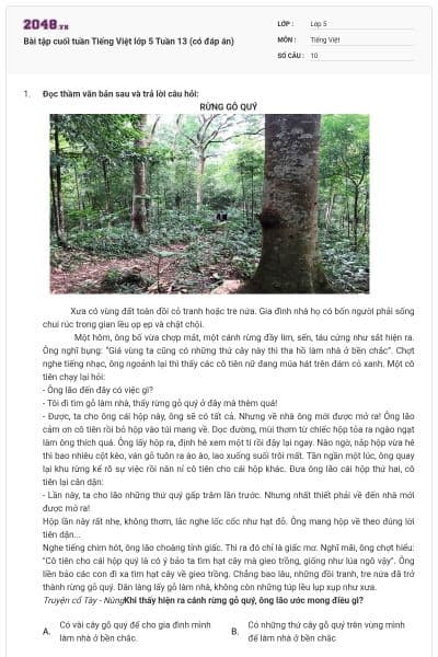 Bài tập cuối tuần Tiếng Việt lớp 5 Tuần 13 (có đáp án)