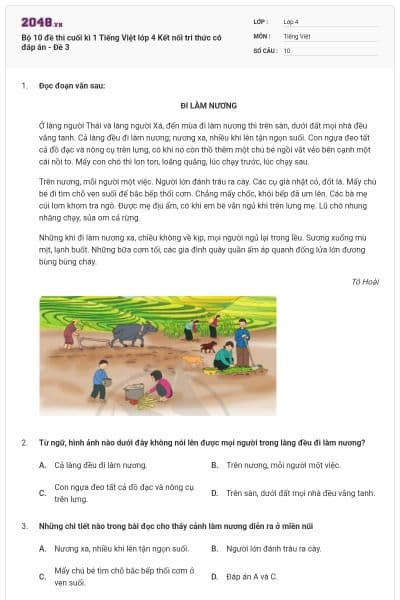 Bộ 10 đề thi cuối kì 1 Tiếng Việt lớp 4 Kết nối tri thức có đáp án - Đề 3