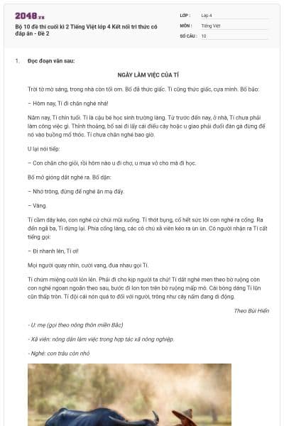 Bộ 10 đề thi cuối kì 2 Tiếng Việt lớp 4 Kết nối tri thức có đáp án - Đề 2