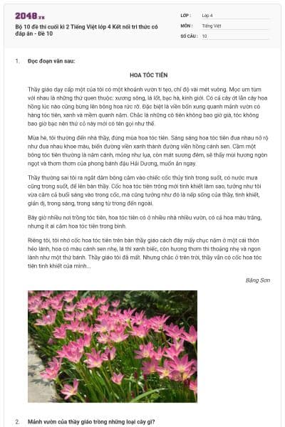 Bộ 10 đề thi cuối kì 2 Tiếng Việt lớp 4 Kết nối tri thức có đáp án - Đề 10