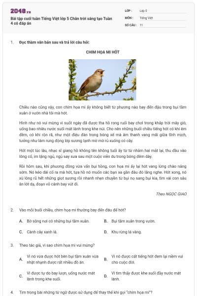 Bài tập cuối tuần Tiếng Việt lớp 5 Chân trời sáng tạo Tuần 4 có đáp án