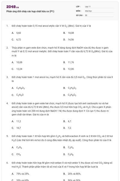Phản ứng đốt cháy các hợp chất hữu cơ (P1)