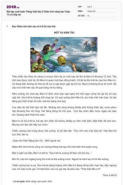 Bài tập cuối tuần Tiếng Việt lớp 5 Chân trời sáng tạo Tuần 13 có đáp án