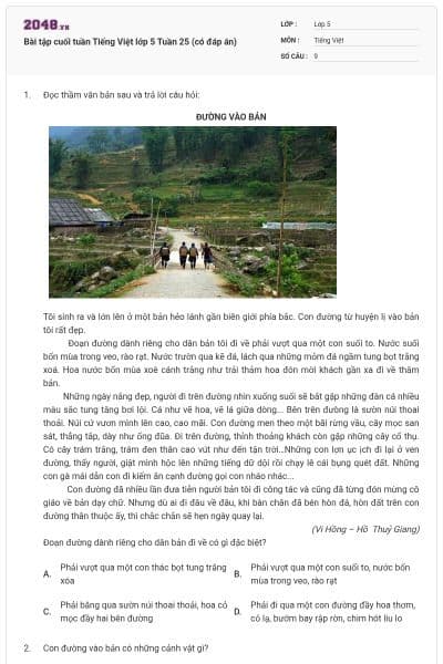 Bài tập cuối tuần Tiếng Việt lớp 5 Tuần 25 (có đáp án)