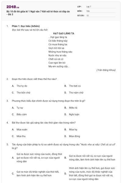 Bộ 10 đề thi giữa kì 1 Ngữ văn 7 Kết nối tri thức có đáp án - Đề 3