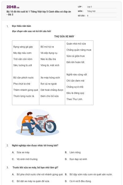 Bộ 10 đề thi cuối kì 1 Tiếng Việt lớp 5 Cánh diều có đáp án - Đề 3