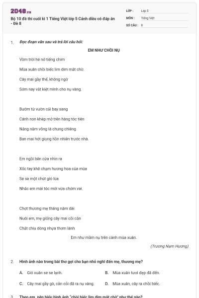 Bộ 10 đề thi cuối kì 1 Tiếng Việt lớp 5 Cánh diều có đáp án - Đề 8