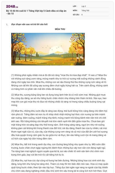 Bộ 10 đề thi cuối kì 1 Tiếng Việt lớp 5 Cánh diều có đáp án - Đề 10