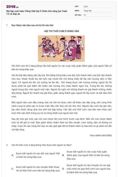 Bài tập cuối tuần Tiếng Việt lớp 5 Chân trời sáng tạo Tuần 15 có đáp án