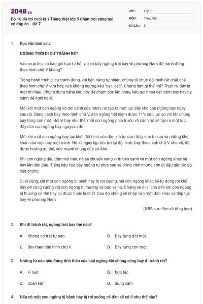 Bộ 10 đề thi cuối kì 1 Tiếng Việt lớp 5 Chân trời sáng tạo có đáp án - Đề 7