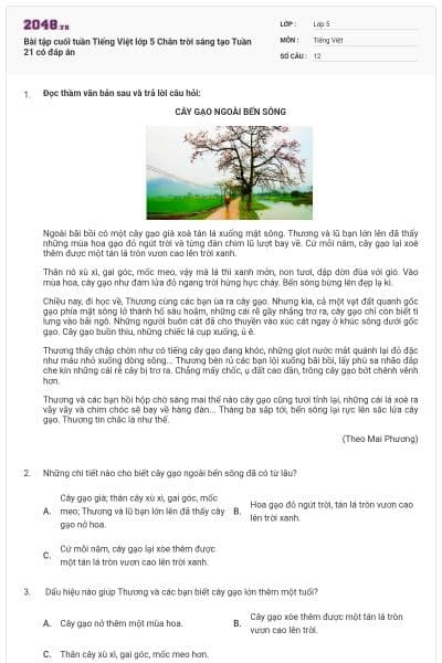 Bài tập cuối tuần Tiếng Việt lớp 5 Chân trời sáng tạo Tuần 21 có đáp án