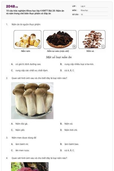10 câu trắc nghiệm Khoa học lớp 4 KNTT Bài 20: Nấm ăn và nấm trong chế biến thực phẩm có đáp án