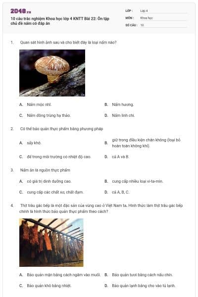 10 câu trắc nghiệm Khoa học lớp 4 KNTT Bài 22: Ôn tập chủ đề nấm có đáp án