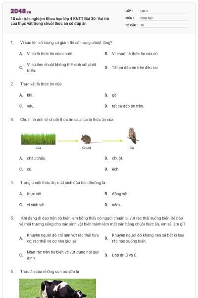 10 câu trắc nghiệm Khoa học lớp 4 KNTT Bài 30: Vai trò của thực vật trong chuỗi thức ăn có đáp án