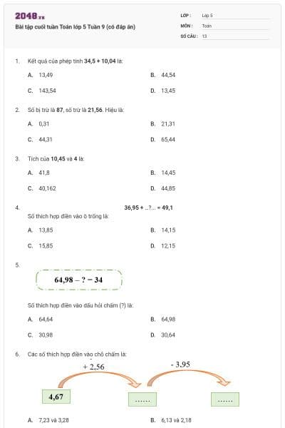 Bài tập cuối tuần Toán lớp 5 Tuần 9 (có đáp án)