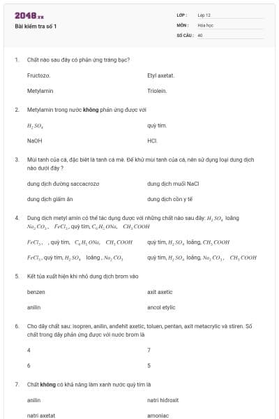 Bài kiểm tra số 1