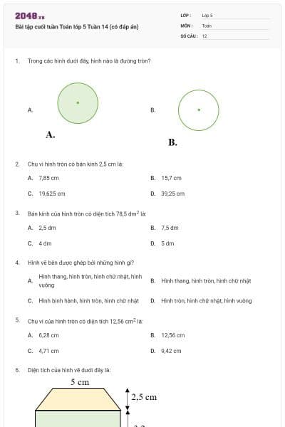 Bài tập cuối tuần Toán lớp 5 Tuần 14 (có đáp án)