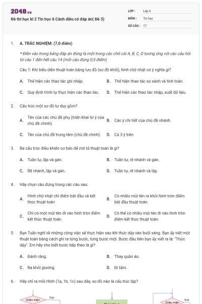 Đề thi học kì 2 Tin học 6 Cánh diều có đáp án( Đề 3)