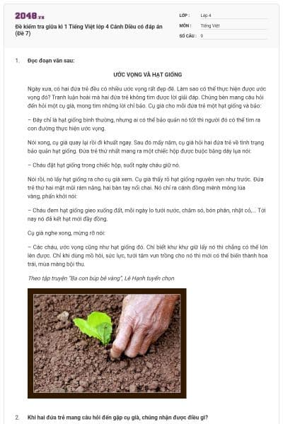 Đề kiểm tra giữa kì 1 Tiếng Việt lớp 4 Cánh Diều có đáp án (Đề 7)