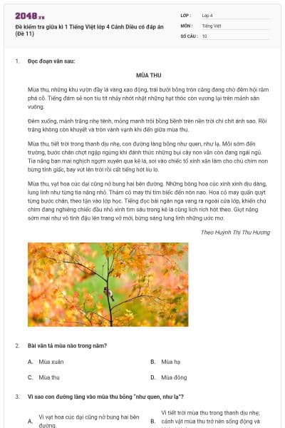 Đề kiểm tra giữa kì 1 Tiếng Việt lớp 4 Cánh Diều có đáp án (Đề 11)