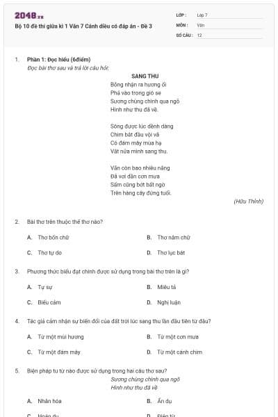 Bộ 10 đề thi giữa kì 1 Văn 7 Cánh diều có đáp án - Đề 3