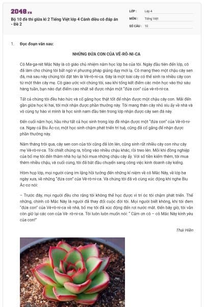 Bộ 10 đề thi giữa kì 2 Tiếng Việt lớp 4 Cánh diều có đáp án - Đề 2