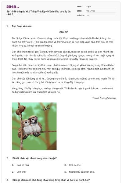 Bộ 10 đề thi giữa kì 2 Tiếng Việt lớp 4 Cánh diều có đáp án - Đề 6