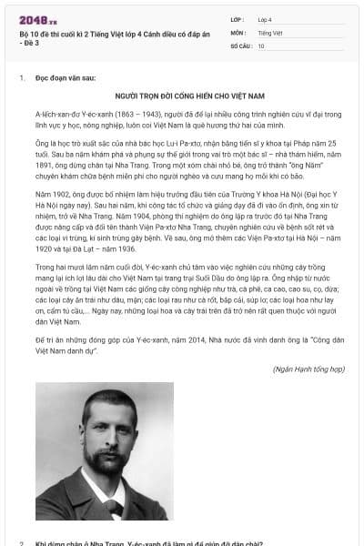 Bộ 10 đề thi cuối kì 2 Tiếng Việt lớp 4 Cánh diều có đáp án - Đề 3