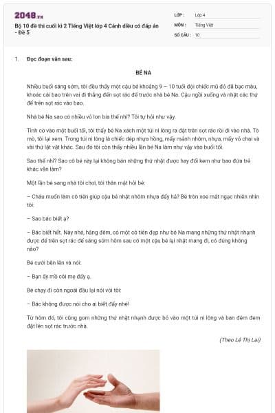 Bộ 10 đề thi cuối kì 2 Tiếng Việt lớp 4 Cánh diều có đáp án - Đề 5