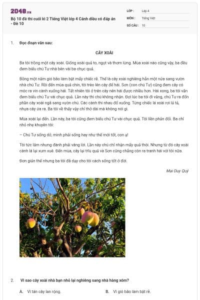 Bộ 10 đề thi cuối kì 2 Tiếng Việt lớp 4 Cánh diều có đáp án - Đề 10