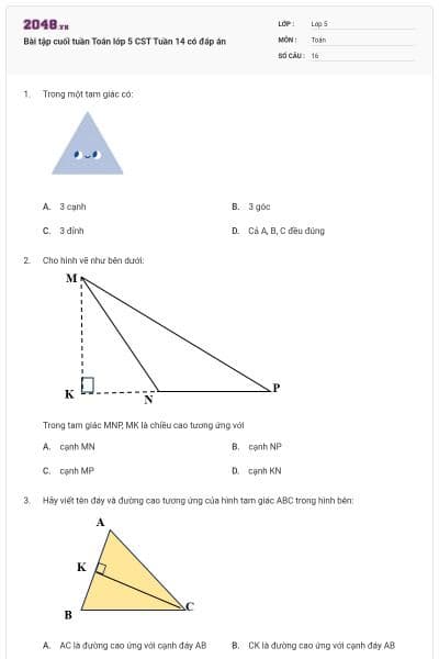Bài tập cuối tuần Toán lớp 5 CST Tuần 14 có đáp án