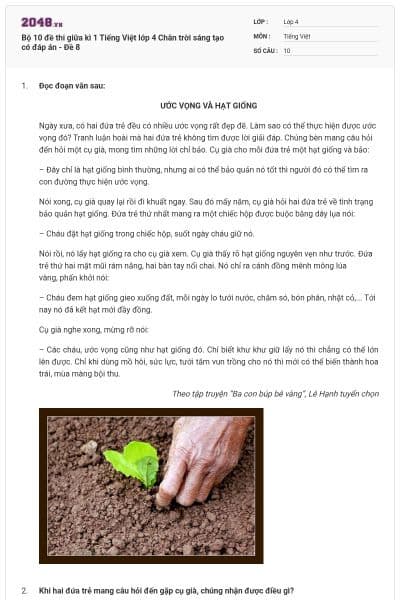 Bộ 10 đề thi giữa kì 1 Tiếng Việt lớp 4 Chân trời sáng tạo có đáp án - Đề 8
