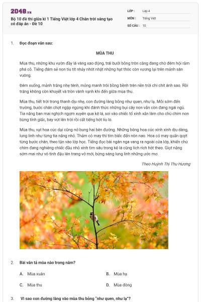 Bộ 10 đề thi giữa kì 1 Tiếng Việt lớp 4 Chân trời sáng tạo có đáp án - Đề 10