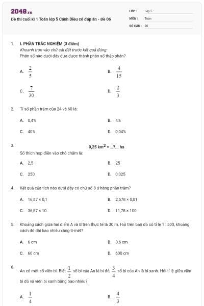 Đề thi cuối kì 1 Toán lớp 5 Cánh Diều có đáp án - Đề 06
