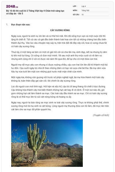 Bộ 10 đề thi cuối kì 2 Tiếng Việt lớp 4 Chân trời sáng tạo có đáp án - Đề 5